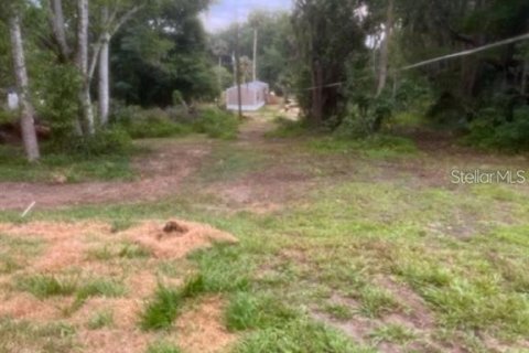 Villa ou maison à vendre à Micanopy, Floride: 2 chambres, 154.22 m2 № 1901203 - photo 4