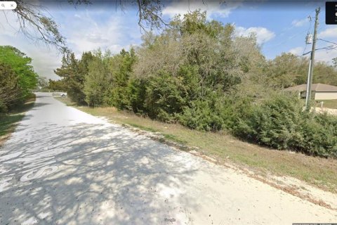 Land in Ocala, Florida № 2224606 - photo 3
