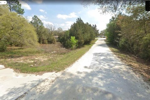 Land in Ocala, Florida № 2224606 - photo 4