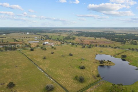 Land in Okeechobee, Florida № 1860971 - photo 8