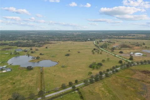 Land in Okeechobee, Florida № 1860971 - photo 14