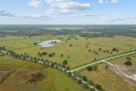Land in Okeechobee, Florida № 1860971 - photo 2