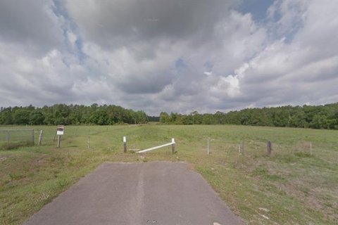 Land in Polk City, Florida № 2158906 - photo 2