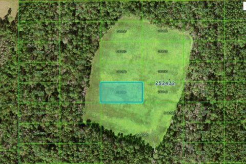 Land in Polk City, Florida № 2158906