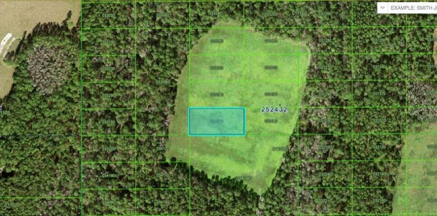 Land in Polk City, Florida № 2158906