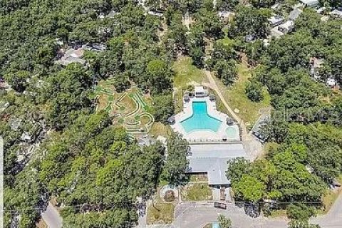 Apartamento en alquiler en Apopka, Florida, 1 dormitorio, 47.57 m2 № 2196345 - foto 14
