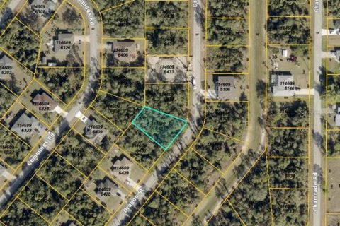 Land in North Port, Florida № 2161202 - photo 2