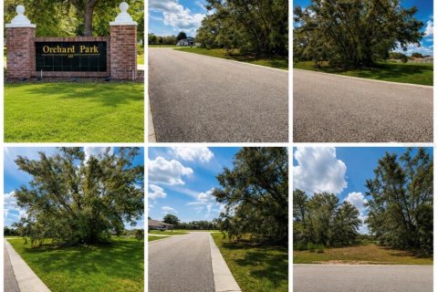 Terrain à Spring Hill, Floride № 2213895