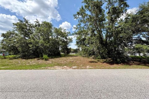 Terrain à vendre à Spring Hill, Floride № 2213895 - photo 4
