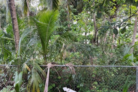 Land in Miami, Florida № 1818544 - photo 3