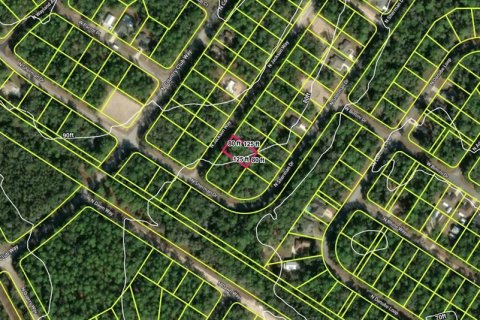 Land in Citrus Springs, Florida № 2234901 - photo 3