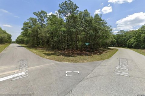 Land in Citrus Springs, Florida № 2234901 - photo 6