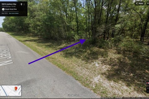 Land in Citrus Springs, Florida № 2234901