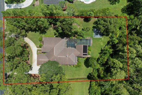 Casa en venta en Lutz, Florida, 4 dormitorios, 332.4 m2 № 1880675 - foto 7