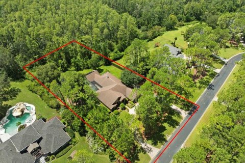 Casa en venta en Lutz, Florida, 4 dormitorios, 332.4 m2 № 1880675 - foto 4
