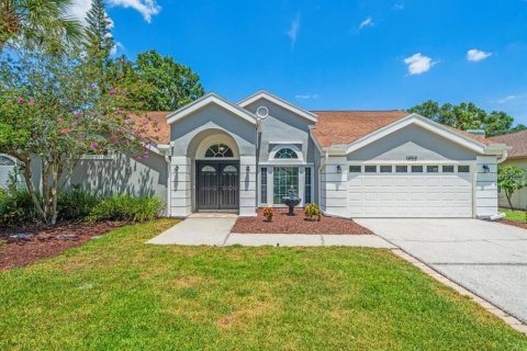 House in Tampa, Florida 4 bedrooms, 243.03 sq.m. № 1759661 - photo 1