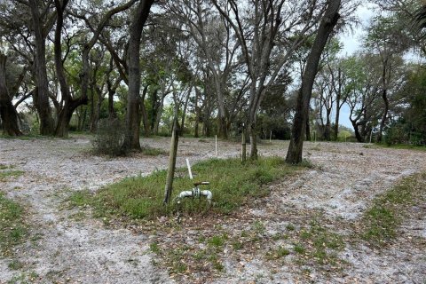Terrain à vendre à Pierson, Floride № 1580647 - photo 3