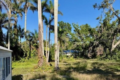 Land in Bradenton, Florida № 1745357 - photo 6