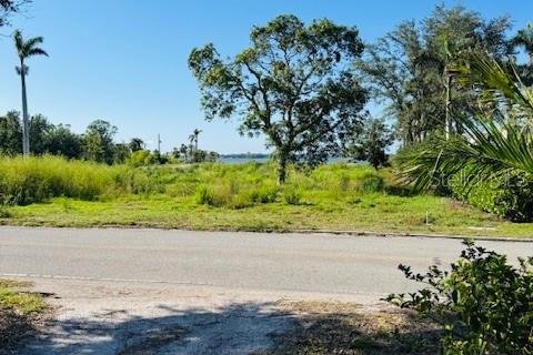 Land in Bradenton, Florida № 1745357 - photo 3