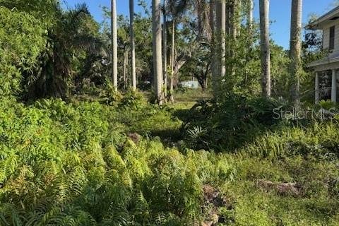 Land in Bradenton, Florida № 1745357 - photo 5