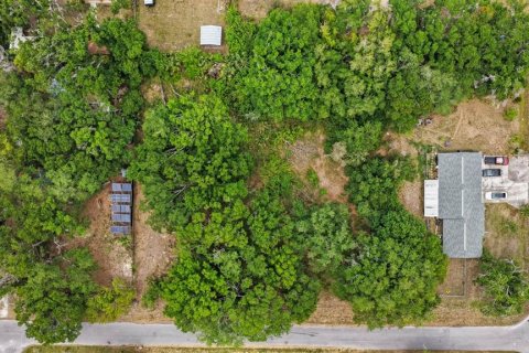 Terreno en Ruskin, Florida № 2195402