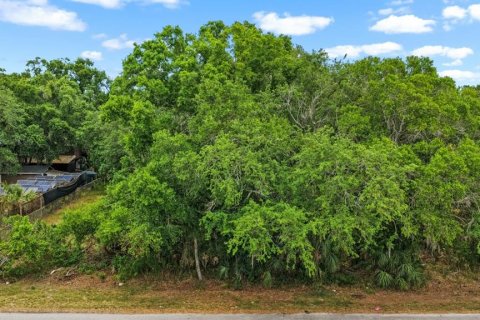 Terreno en venta en Ruskin, Florida № 2195402 - foto 6