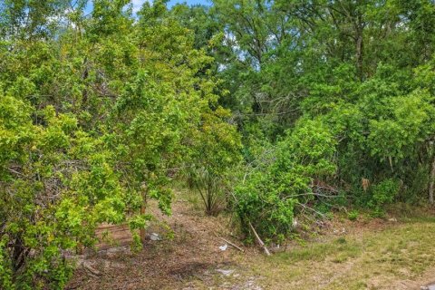 Terreno en venta en Ruskin, Florida № 2195402 - foto 4