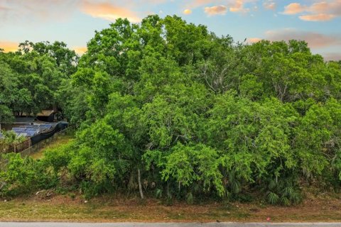 Terreno en venta en Ruskin, Florida № 2195402 - foto 13