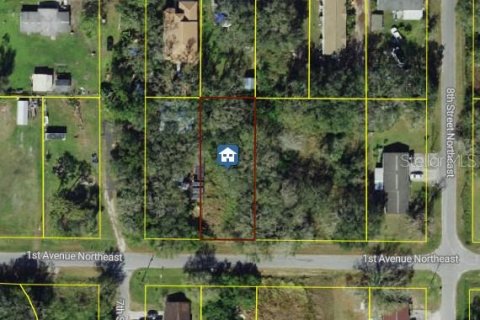 Terreno en venta en Ruskin, Florida № 2195402 - foto 2