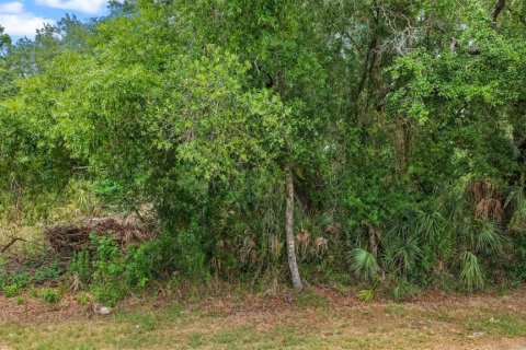 Terreno en venta en Ruskin, Florida № 2195402 - foto 5
