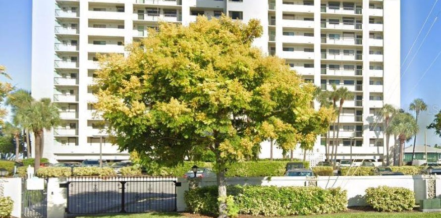 Condo à Saint Pete Beach, Floride, 2 chambres № 1684816