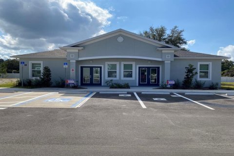 Immobilier commercial à Seffner, Floride № 2425647