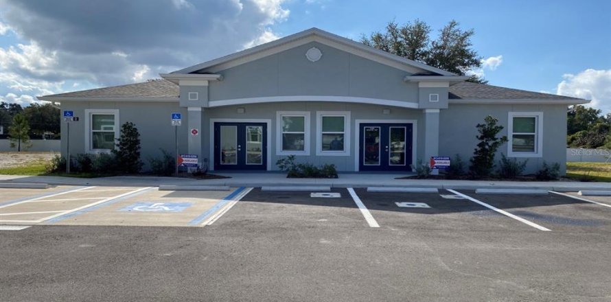Immobilier commercial à Seffner, Floride № 2425647