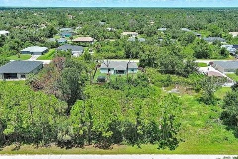 Land in Port Charlotte, Florida № 2164342 - photo 6
