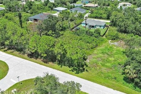 Land in Port Charlotte, Florida № 2164342 - photo 8