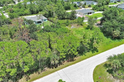 Land in Port Charlotte, Florida № 2164342 - photo 5