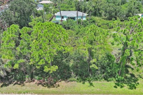 Land in Port Charlotte, Florida № 2164342 - photo 3
