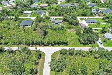 Land in Port Charlotte, Florida № 2164342 - photo 10