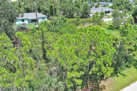 Land in Port Charlotte, Florida № 2164342 - photo 4
