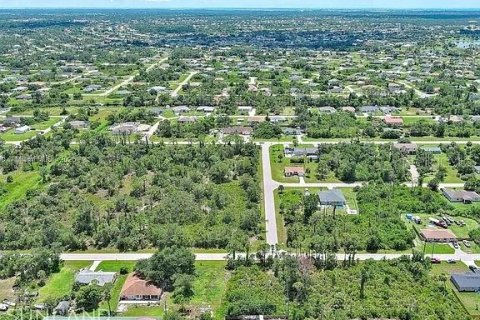 Land in Port Charlotte, Florida № 2164342 - photo 14