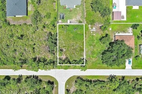 Land in Port Charlotte, Florida № 2164342 - photo 2