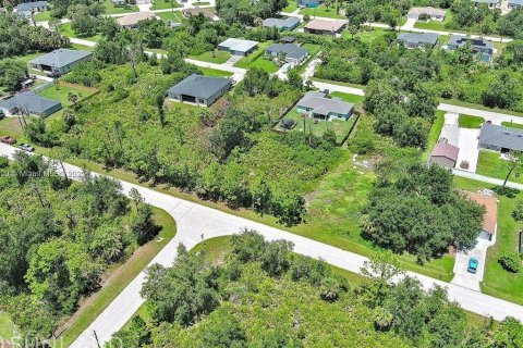 Land in Port Charlotte, Florida № 2164342 - photo 9