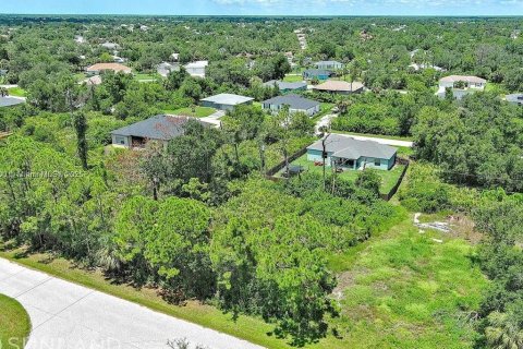 Land in Port Charlotte, Florida № 2164342 - photo 7