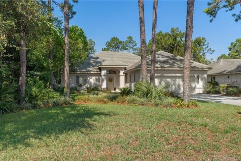 Villa ou maison à vendre à Lecanto, Floride: 3 chambres, 213.02 m2 № 1917734 - photo 1