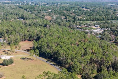 Casa en venta en Eustis, Florida, 4 dormitorios, 384.99 m2 № 2142763 - foto 6