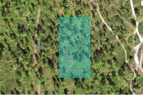Terreno en Frostproof, Florida № 2164021