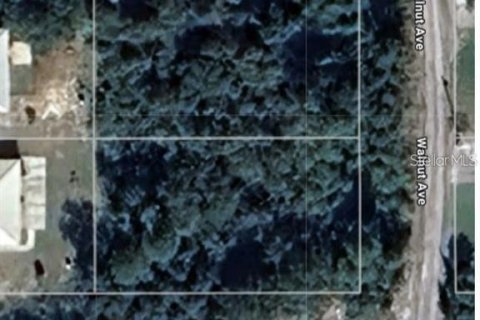 Купить земельный участок в Ориндж-Сити, Флорида № 1796035 - фото 1
