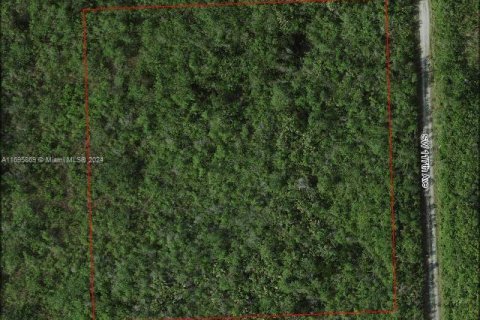 Immobilier commercial à Homestead, Floride № 2088620