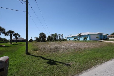Land in Rotonda, Florida № 1634733 - photo 1