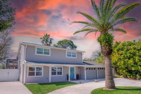 House in Tampa, Florida 4 bedrooms, 219.25 sq.m. № 2226107